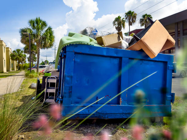 Best Basement Cleanout Services  in Essex Fells, NJ